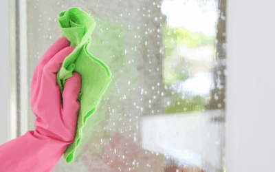 Can I Use Glass Stovetop Cleaner on Windows?