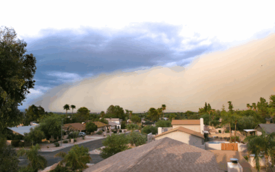Post-Haboob Cleanup in Arizona: Restore Your Space with Professional Cleaning Services